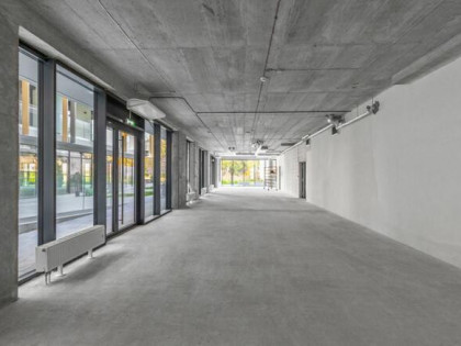 Lokal użytkowy Lublin Śródmieście,