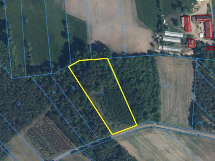 Działka Stary Cydzyn