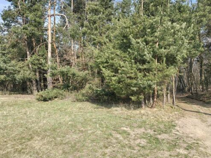 Malownicza działka w Pogórskiej Woli - 10 ar.