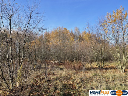 Działka budowlana 5428 m² Słupno – wszystkie media