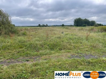 Działka rolna 6000 m² pod hodowlę i uprawy