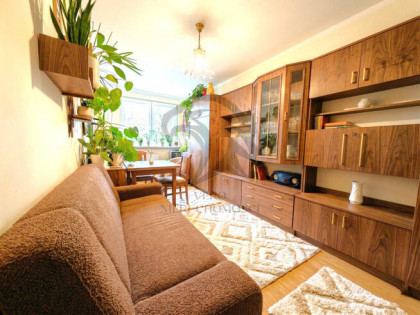 Solarium dla Twojej monstery