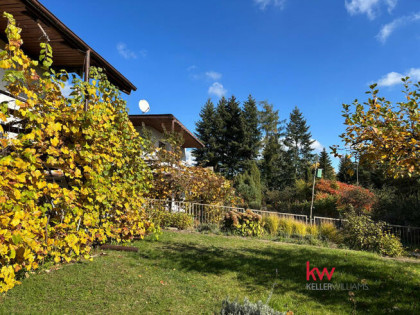 Działka rekreacyjna Przybrodzin gm. Powidz,