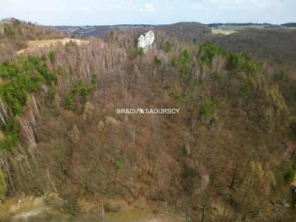 Działka leśna Jerzmanowice gm. Jerzmanowice-Przeginia, Zachodnia