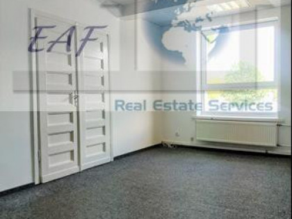 Lokal Warszawa Wola, Czyste