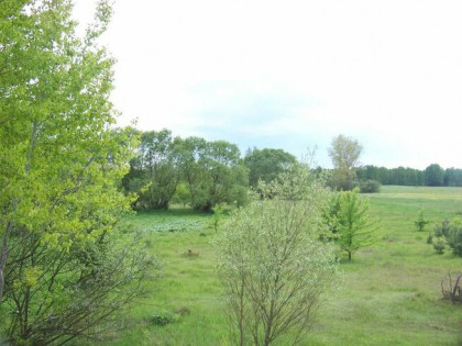 Sprzedam działkę powiat sokołowski