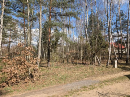 Działka Nowa Kuźnica