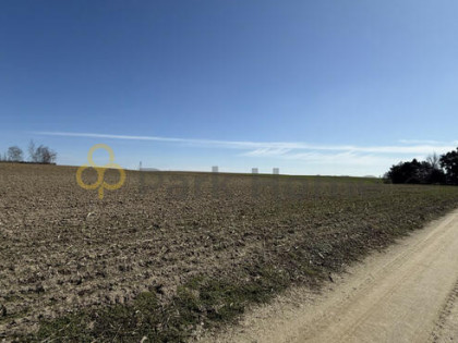 Działka budowlana Czechy gm. Kłecko,