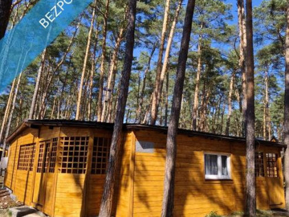 Domek letniskowy typu bliźniak Sielpia las jezioro