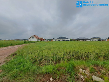 Prężnie rozwijająca się  okolica