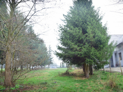 Działka budowlana 23a w Bratkowicach