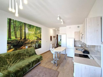 Duża kawalerka z balkonem, Centrum, Pomorska 45A