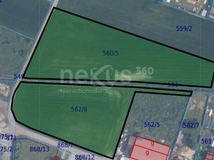 Działki inwestycyjne - łącznie 1,1417 ha – Syców