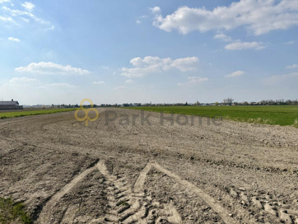 Działka rolna Szymanowo gm. Rawicz, Manewrowa