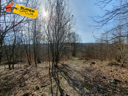 Działka budowlana Golkowice gm. Wieliczka,