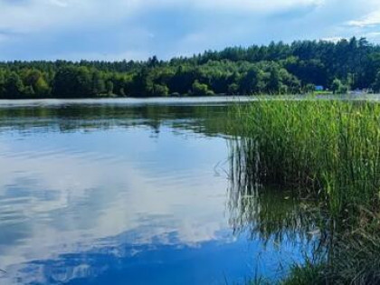 Działka rekreacyjna Samociążek gm. Koronowo