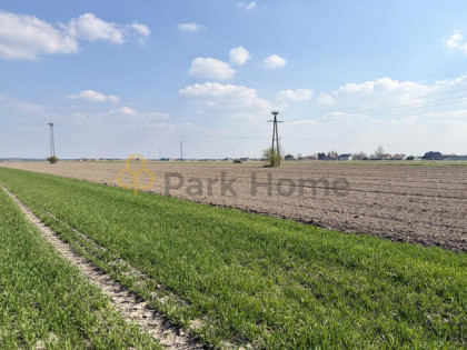 Działka rolna Rawicz, Tysiąclecia