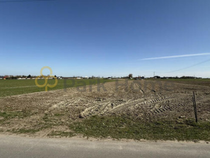 Działka budowlana Kłecko,