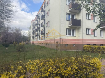 Mieszkanie Grodzisk Mazowiecki