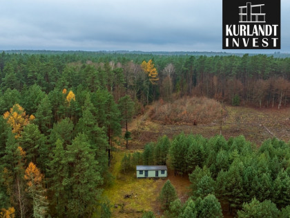 Dom letniskowy z prywatnym lasem Bory Tucholskie