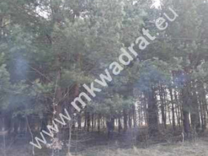 Możl podziału na 2 | Okazja! | Objęta MpZP | Super