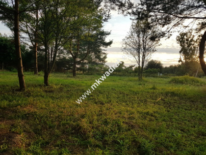 ⭐⭐⭐⭐⭐ Super działka usług z MPZP wym. 50x78 ⭐⭐⭐⭐⭐