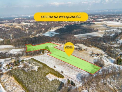 Działka siedliskowa Płaza gm. Chrzanów, Podlas