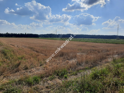 Działka inwestycyjna koło Janek