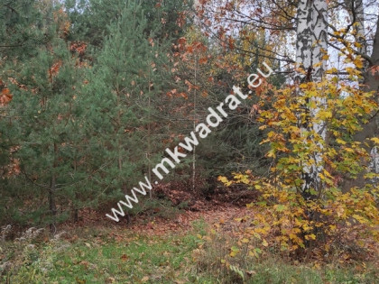 Ładna okolica MeDiA MPZP Okazja! super cena!