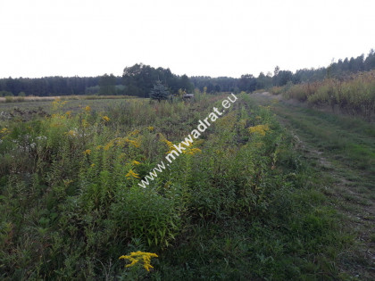 Atrakcyjna lokalizacja, ładna działka Pęcice. Pęcice