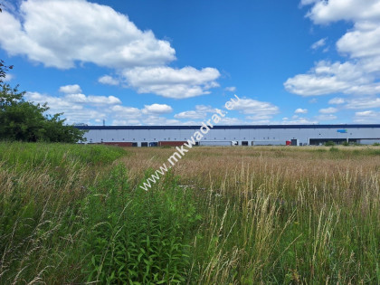 Teren w usługowy TOP lokalizacja Sokołów