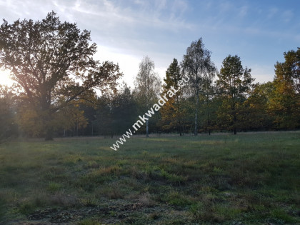 Cicha !! Makówka 1500 m2  + plan zagospodarowania