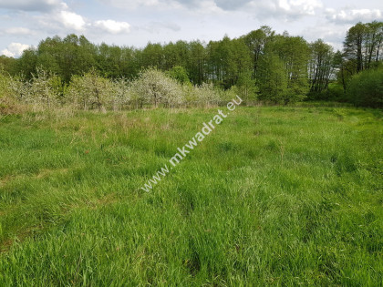 Działka z dostępem do rzeczki | możliwość podziału