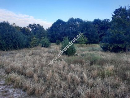 Duże działki w malowniczej okolicy i dobrej cenie.