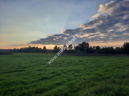 Działka w malowniczej okolicy i dobrej cenie.