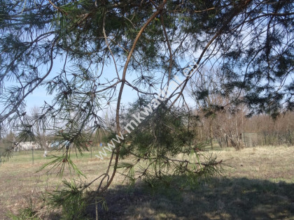 Działka blisko zbiornika komorowskiego