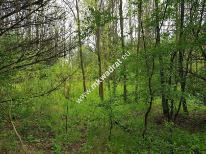 Okazja - niska cena !!!