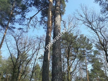 Teren inwestycyjny UZ NADARZYN SuPeR oferta!