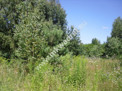 Działka budowlana w bliskim sąsiedztwie natury.