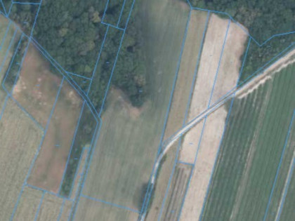 Bartłomiejowice gm. Wąwolnica-działka rolna Bartłomiejowice