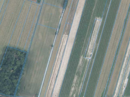 Działka RM/RP1,14ha-Bartłomiejowice, gm. Wąwolnica Bartłomiejowice