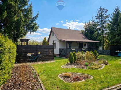 Na sprzedaż działka ROD ul. Bukowska