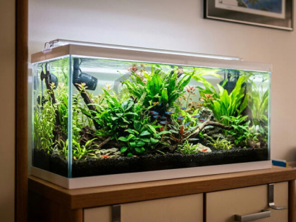 Twoja bezpieczna przystań na Osobowicach