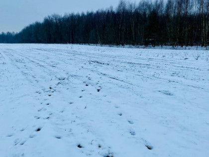 Działka Wola Rzędzińska