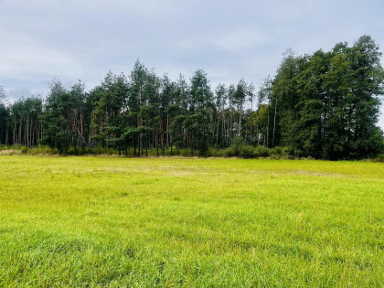Działka Nowa Jastrząbka