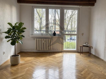 Twoja zielona enklawa blisko centrum