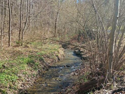 Urokliwe ustronie w górach blisko Krakowa, z dobrym dojazdem