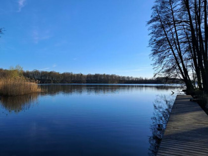 Działka budowlana Duba gm. Zalewo