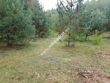 Urokliwe miejsce w Kaniach