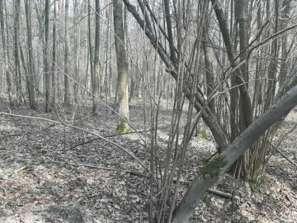 Działka Zgierz Chełmy